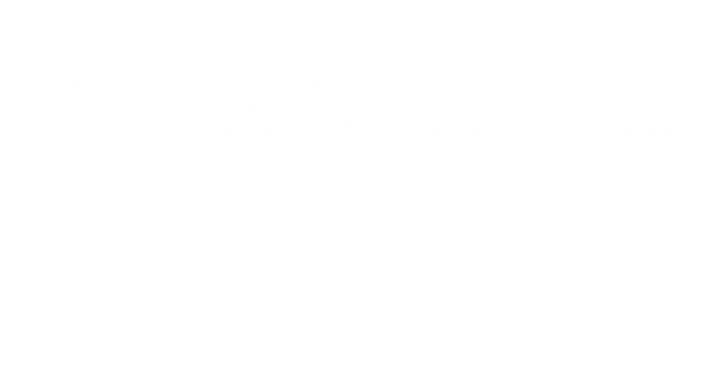 disi group logo